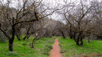 photo thumbnail #6