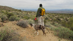 photo thumbnail #1