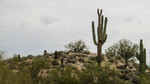 photo thumbnail #2