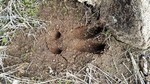 photo thumbnail #8
