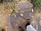 photo thumbnail #8