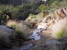 photo thumbnail #10