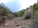 photo thumbnail #14