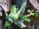 photo thumbnail #15