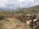 photo thumbnail #5