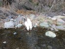 photo thumbnail #8