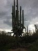 photo thumbnail #9