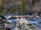 photo thumbnail #4