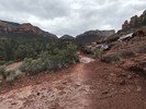 photo thumbnail #5