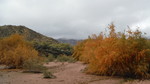 photo thumbnail #6