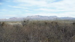 photo thumbnail #13