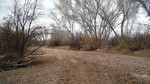 photo thumbnail #15