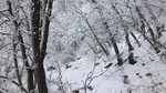 photo thumbnail #5
