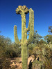 photo thumbnail #4
