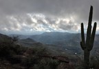 photo thumbnail #13