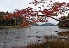 photo thumbnail #1