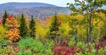 photo thumbnail #11