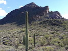 photo thumbnail #7