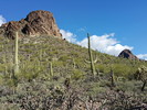 photo thumbnail #9
