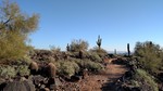 photo thumbnail #2
