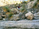 photo thumbnail #5