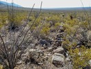 photo thumbnail #14