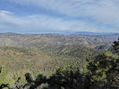 photo thumbnail #10