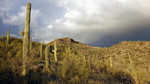 photo thumbnail #8
