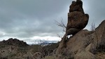 photo thumbnail #7