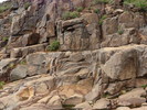 photo thumbnail #1