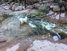 photo thumbnail #9