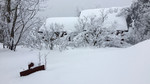 photo thumbnail #7