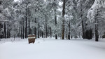 photo thumbnail #13