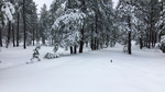 photo thumbnail #14
