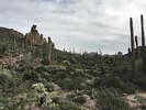 photo thumbnail #3