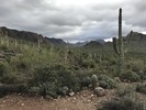 photo thumbnail #5