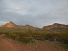 photo thumbnail #1