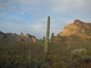 photo thumbnail #3