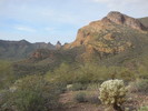 photo thumbnail #11