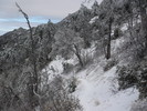 photo thumbnail #13