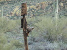 photo thumbnail #8