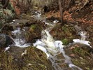 photo thumbnail #3