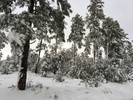 photo thumbnail #7