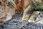 photo thumbnail #9