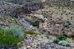 photo thumbnail #14