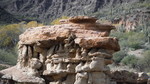 photo thumbnail #13