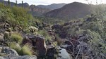 photo thumbnail #6