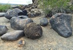 photo thumbnail #3