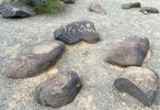 photo thumbnail #4