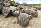 photo thumbnail #7